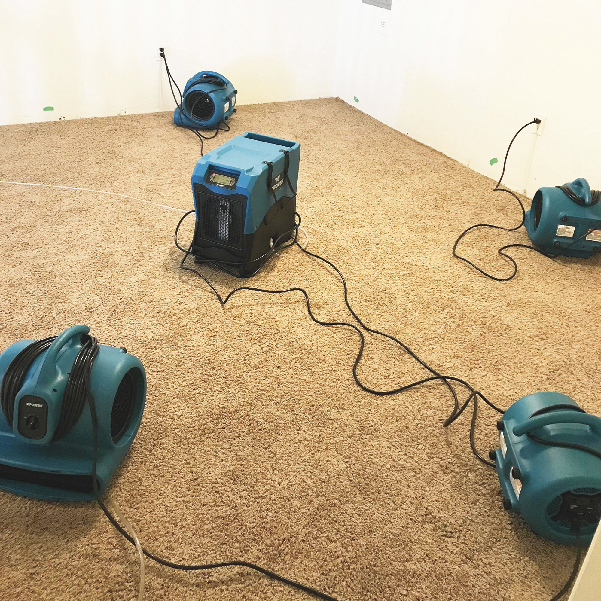 Using a Dehumidifier to Speed up Drying